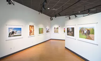 Gallery at Truax art exhibit